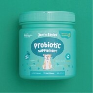 제리스타일스 유산균 간식형 영양제 300g 프로바이오틱스 서플리먼트